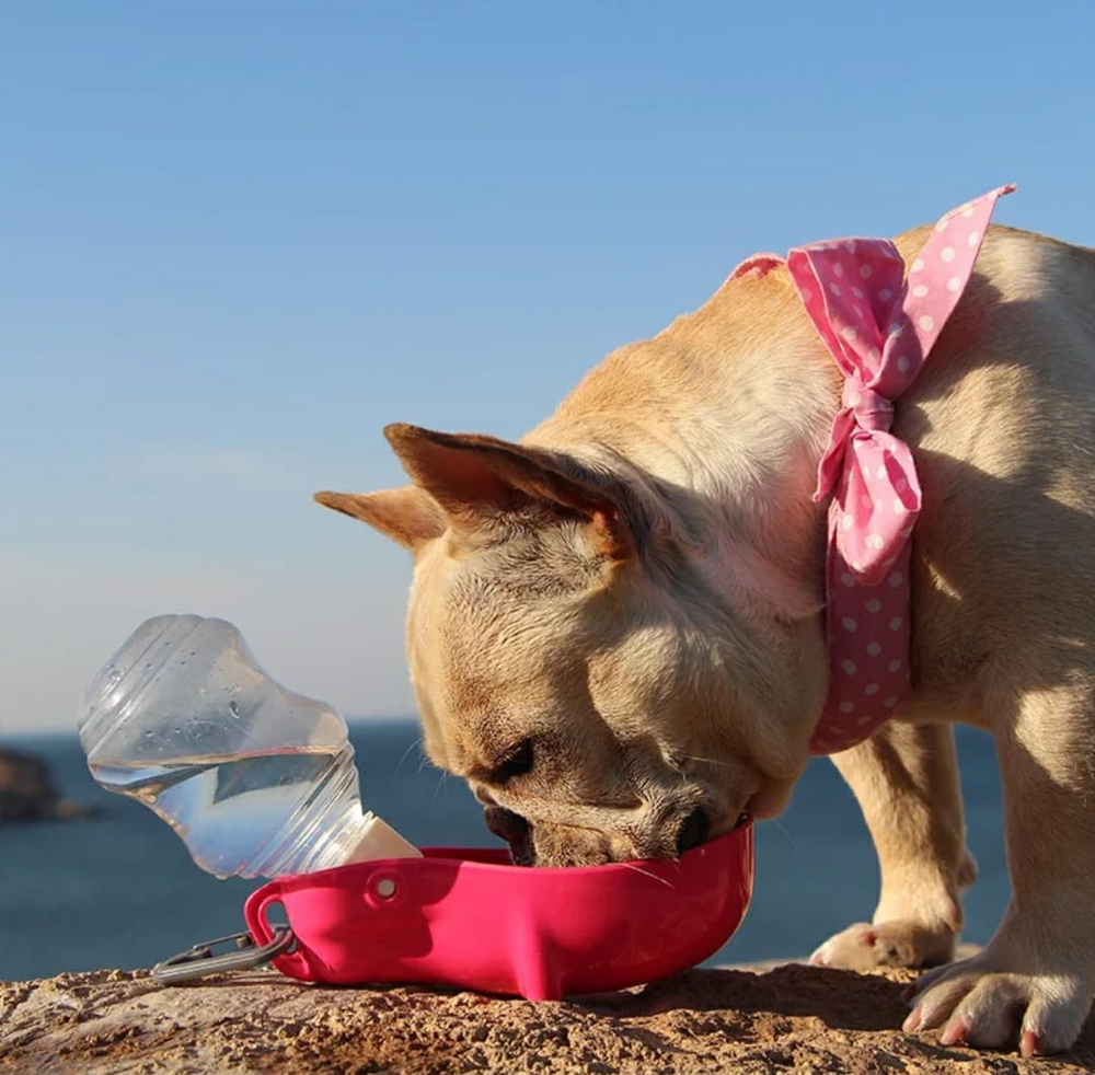 Botella con Bebedero Portátil con Gancho para Agua Perros y Mascotas 500ml freeshipping - Emará